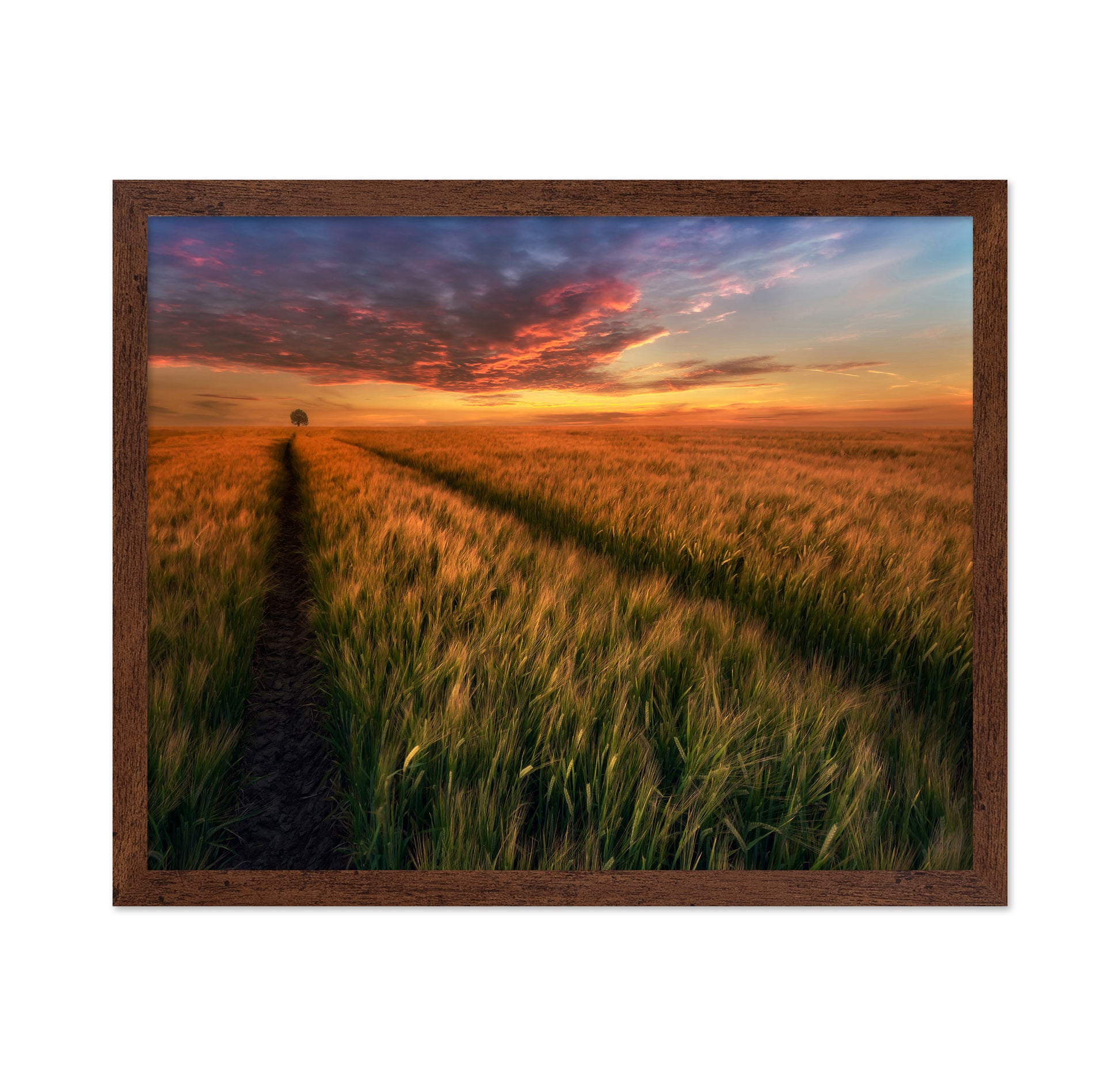 Sunset Field Horizon