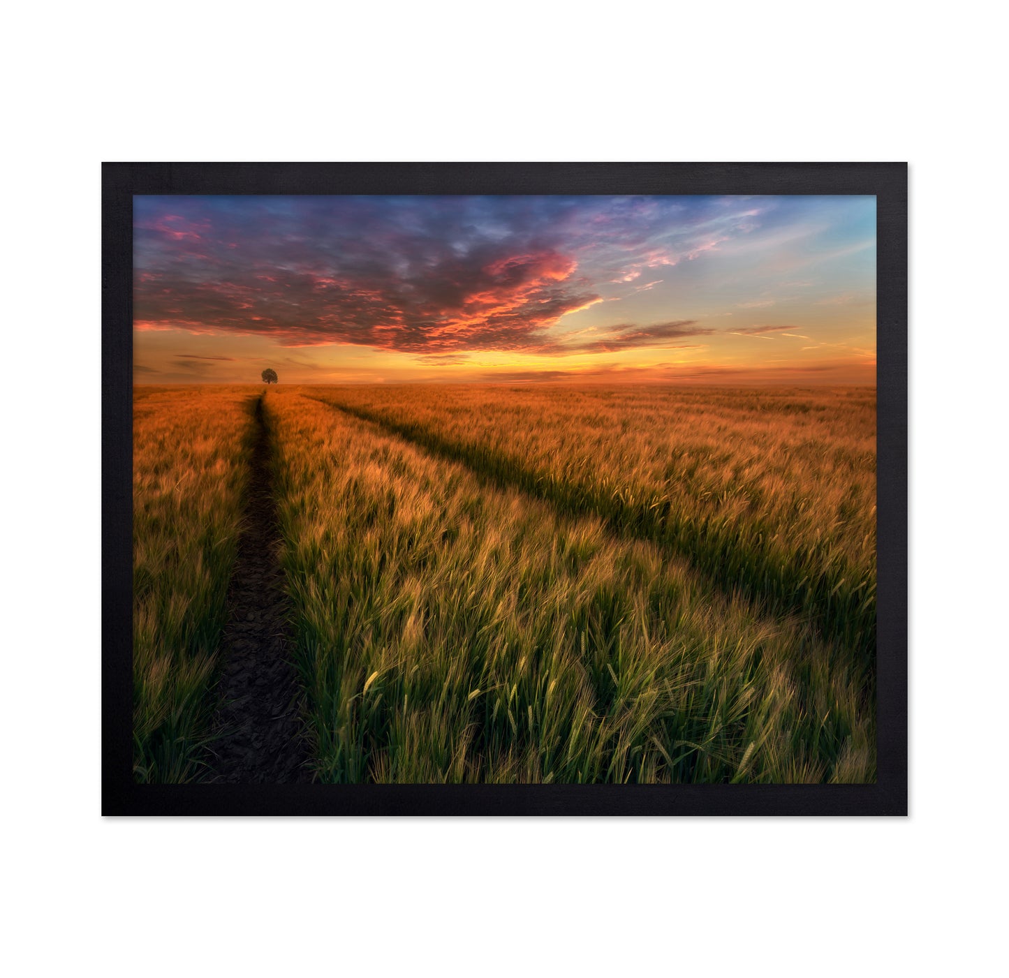 Sunset Field Horizon