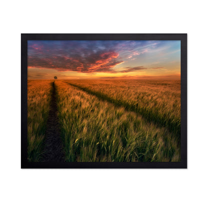 Sunset Field Horizon