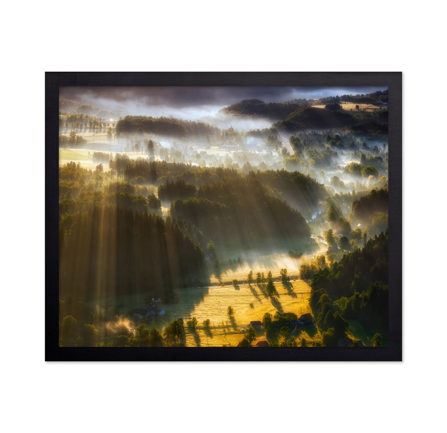Morning Mist Valley