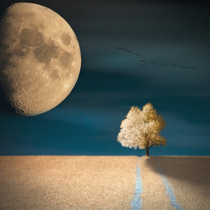 Giant Moon Over Field