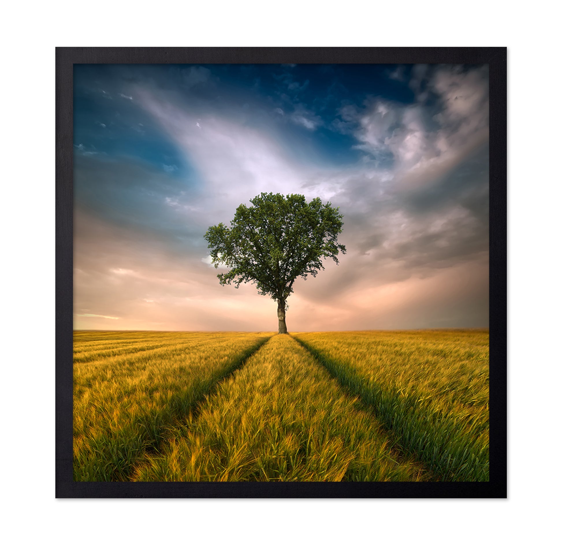 Lone Tree Horizon No1