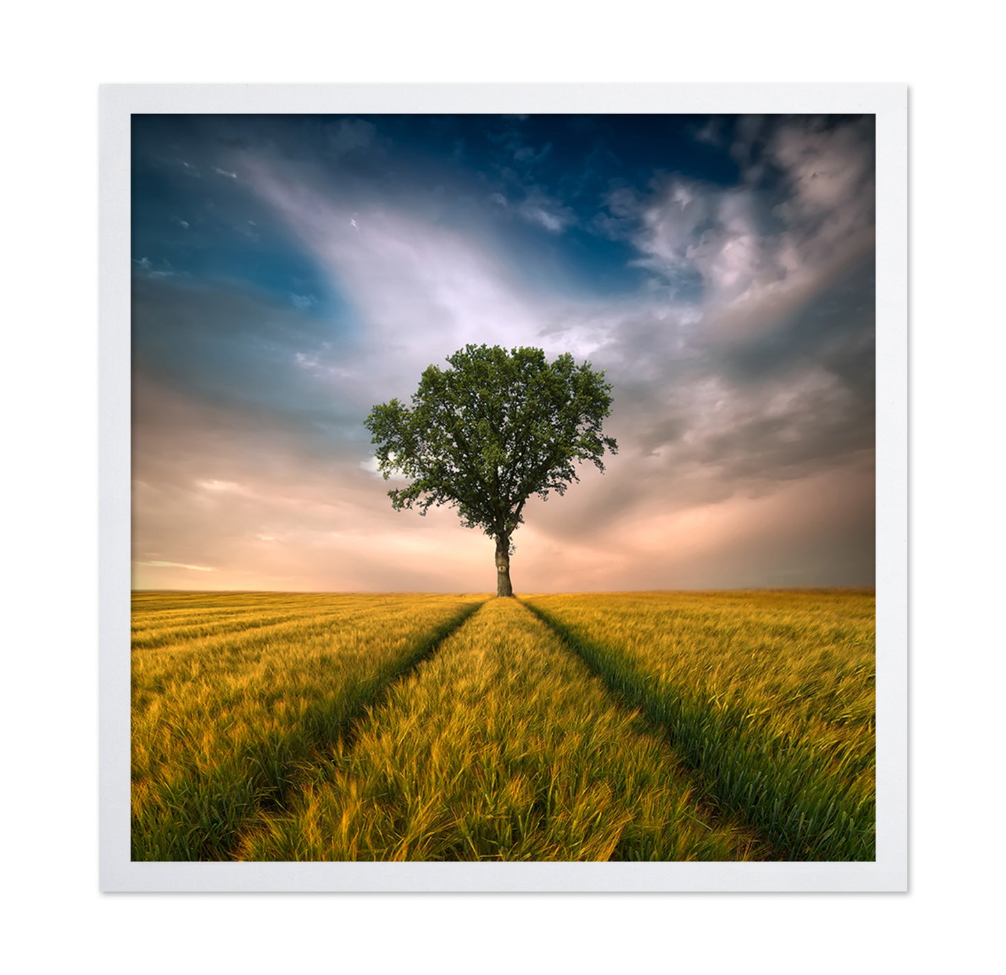 Lone Tree Horizon No1