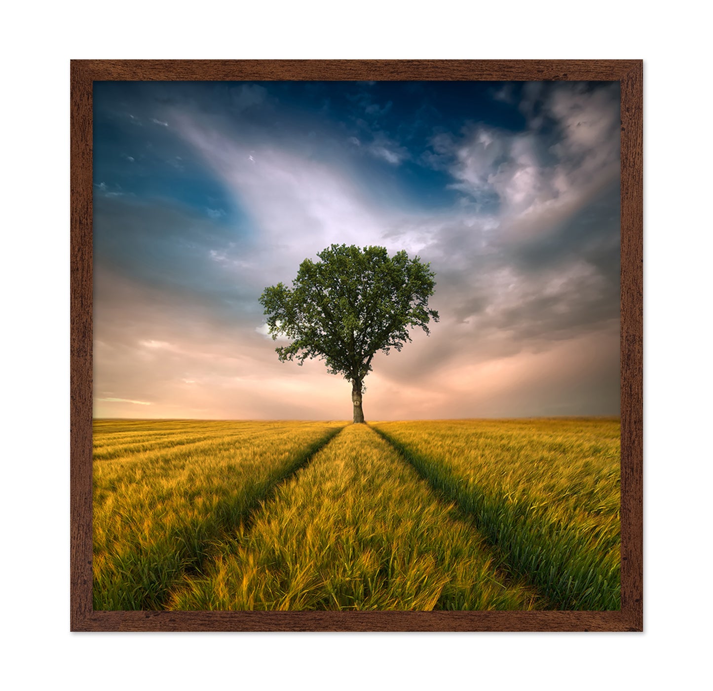 Lone Tree Horizon No1