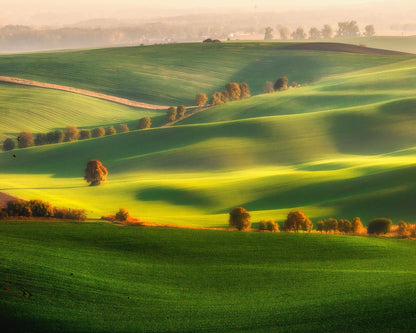 Rolling Green Hills No1