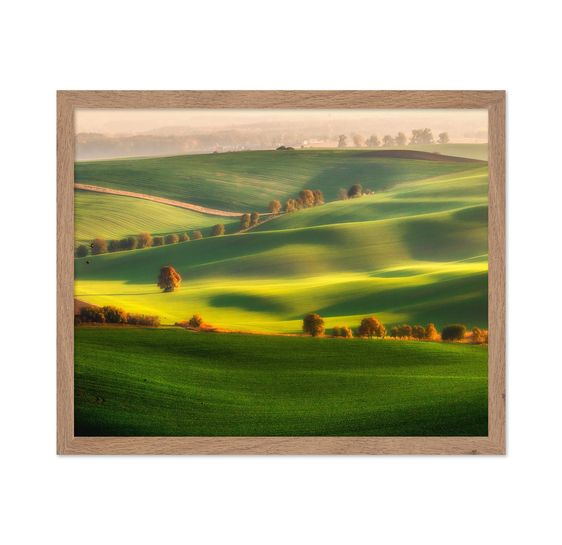 Rolling Green Hills No1