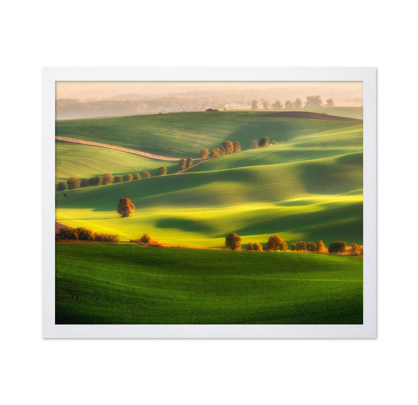 Rolling Green Hills No1