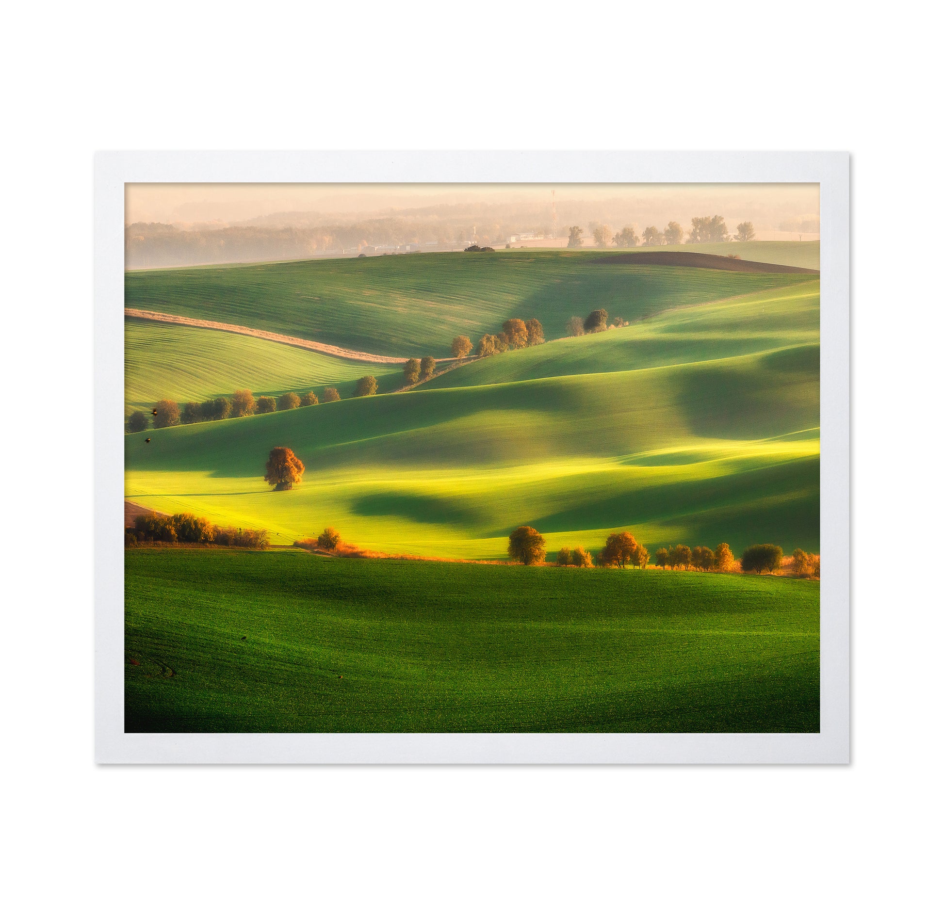 Rolling Green Hills No1