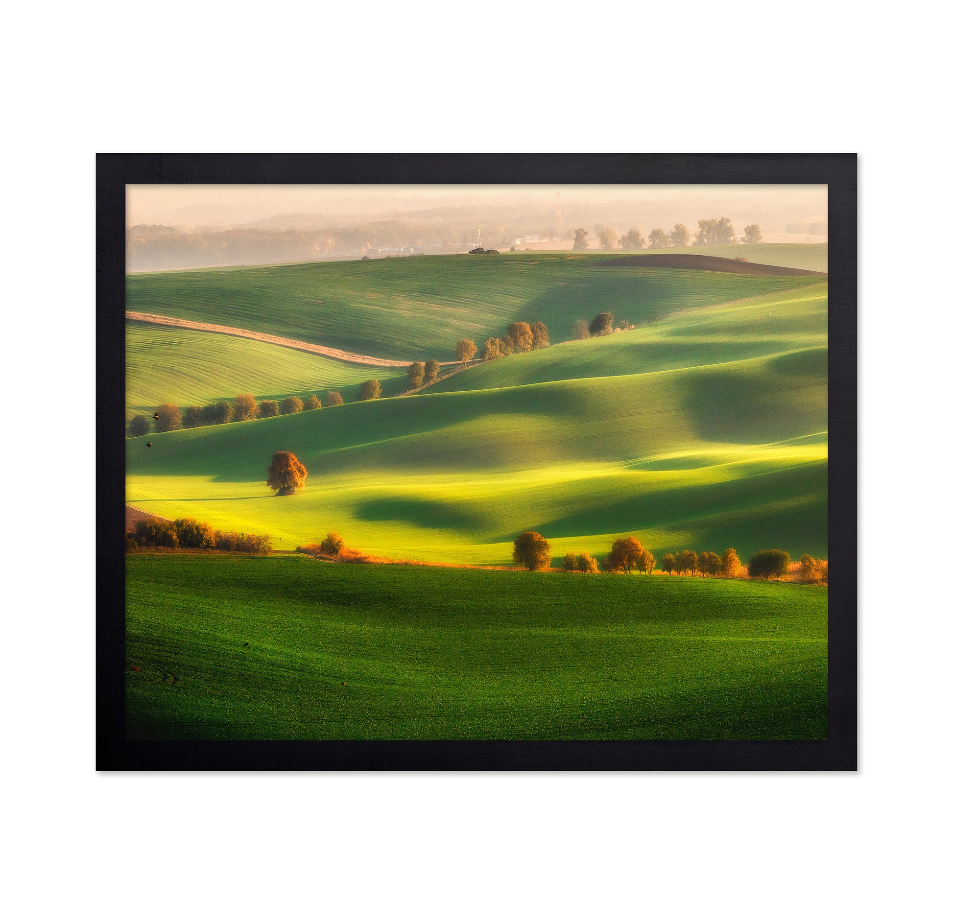 Rolling Green Hills No1