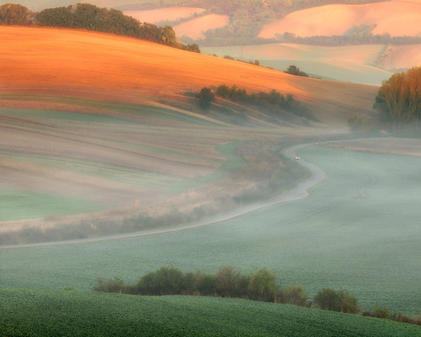 Misty Country Road