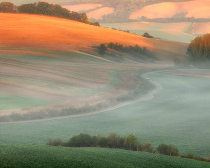 Misty Country Road