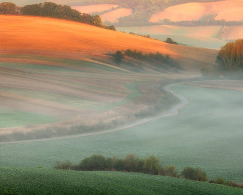 Misty Country Road