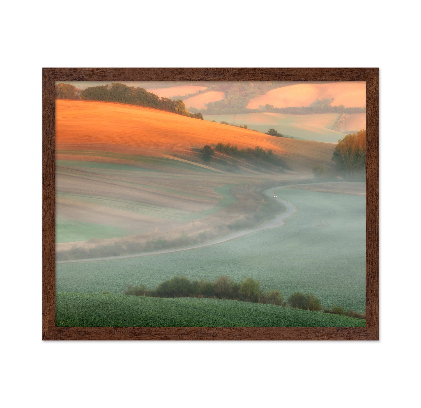 Misty Country Road