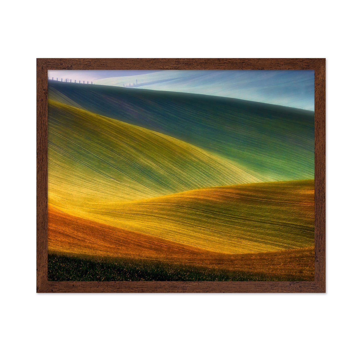 Colorful Spring Hills