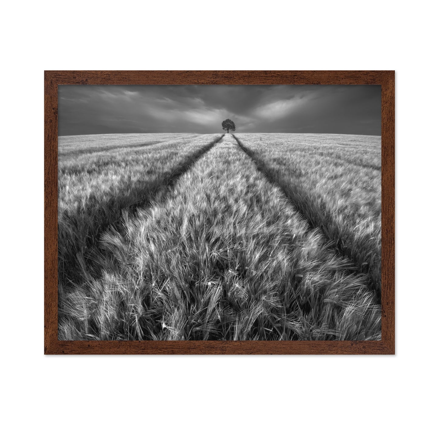 Lone Tree Field Path No1
