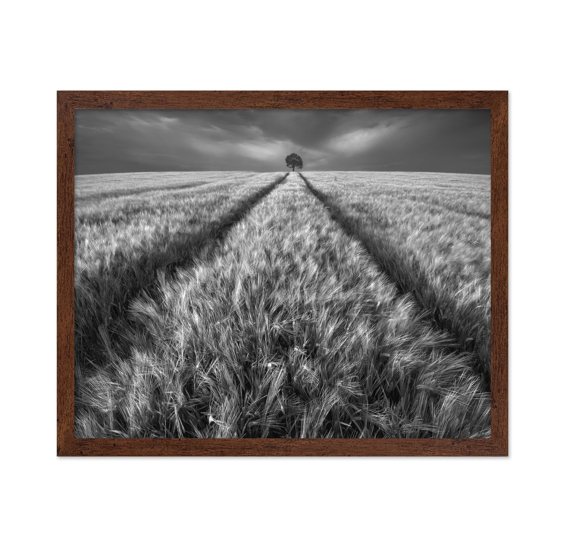 Lone Tree Field Path No1