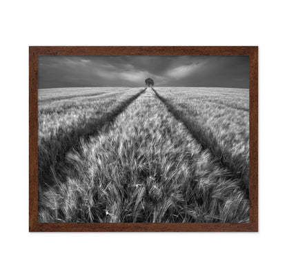 Lone Tree Field Path No1