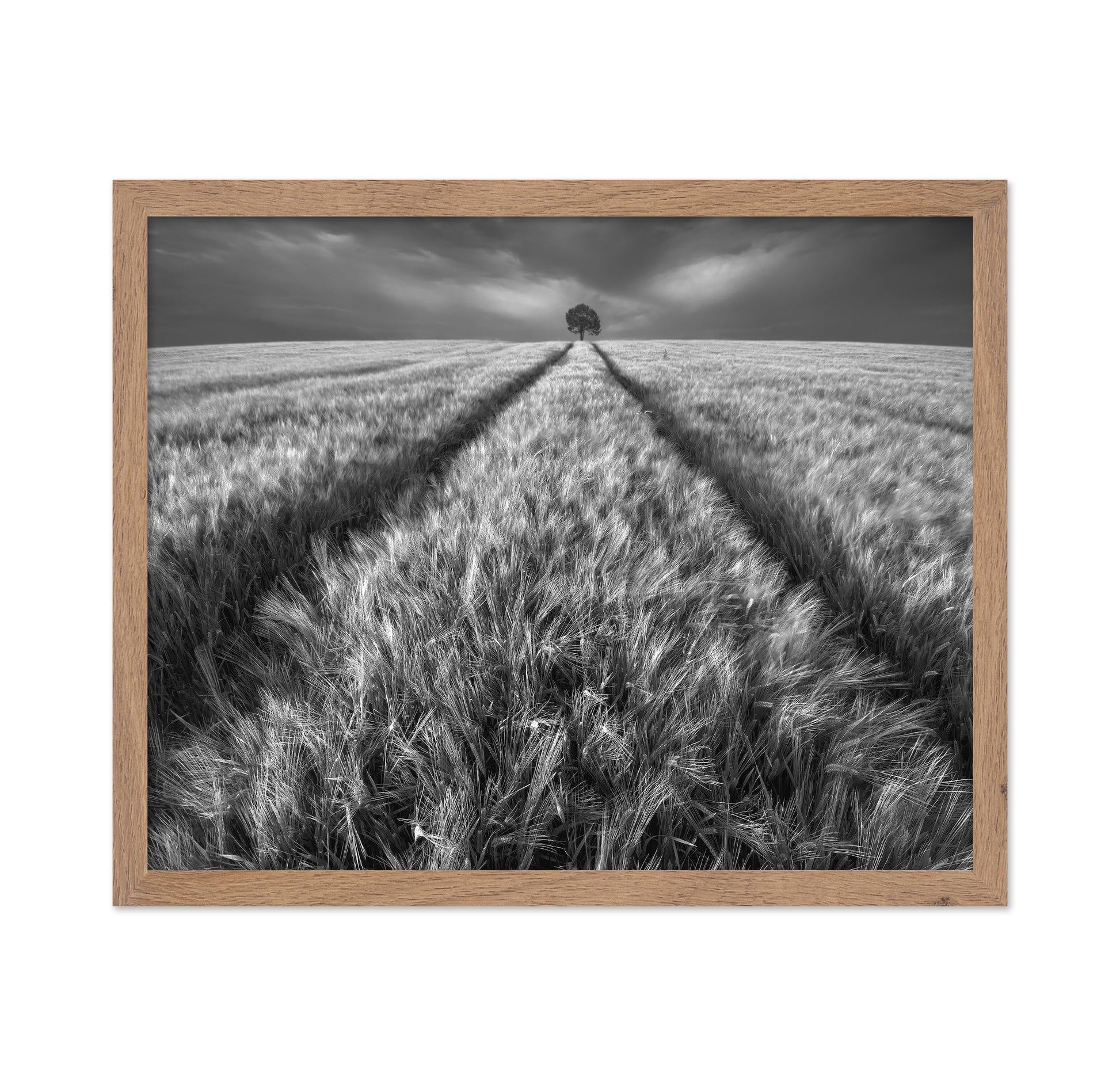 Lone Tree Field Path No1