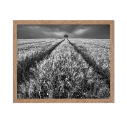 Lone Tree Field Path No1