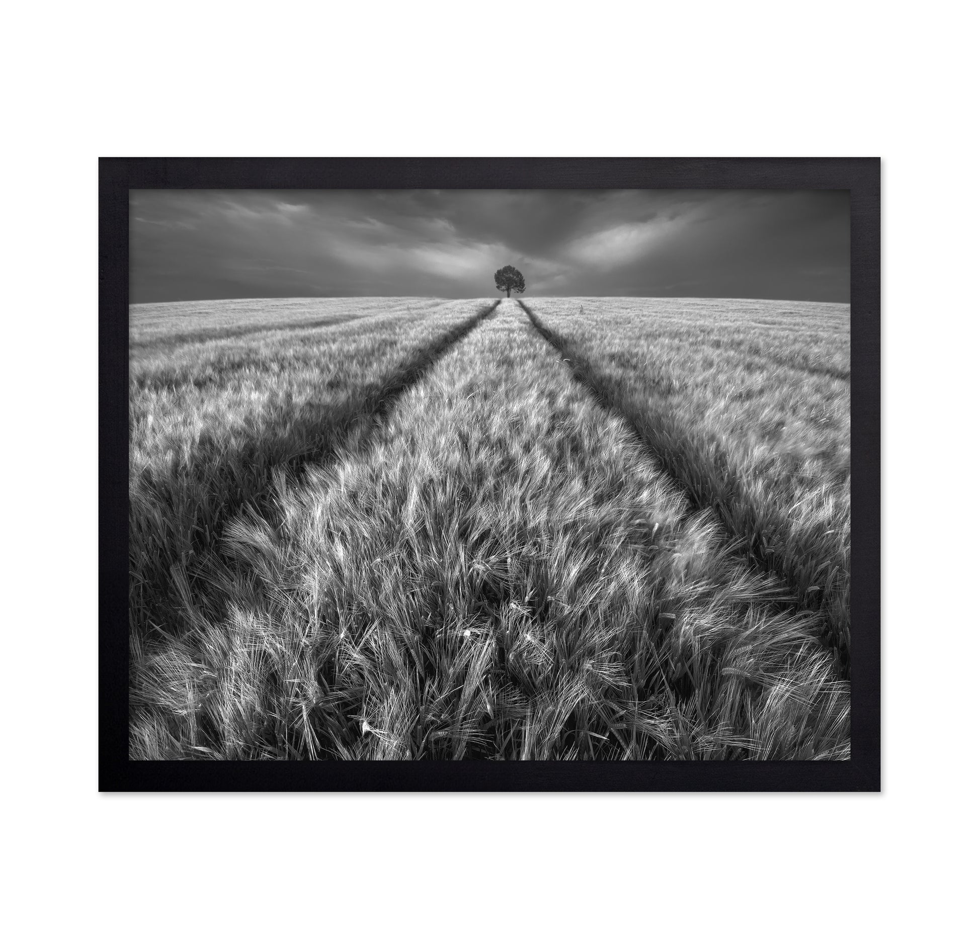 Lone Tree Field Path No1