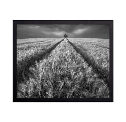 Lone Tree Field Path No1