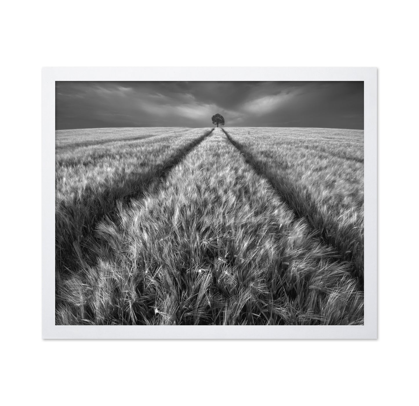 Lone Tree Field Path No1