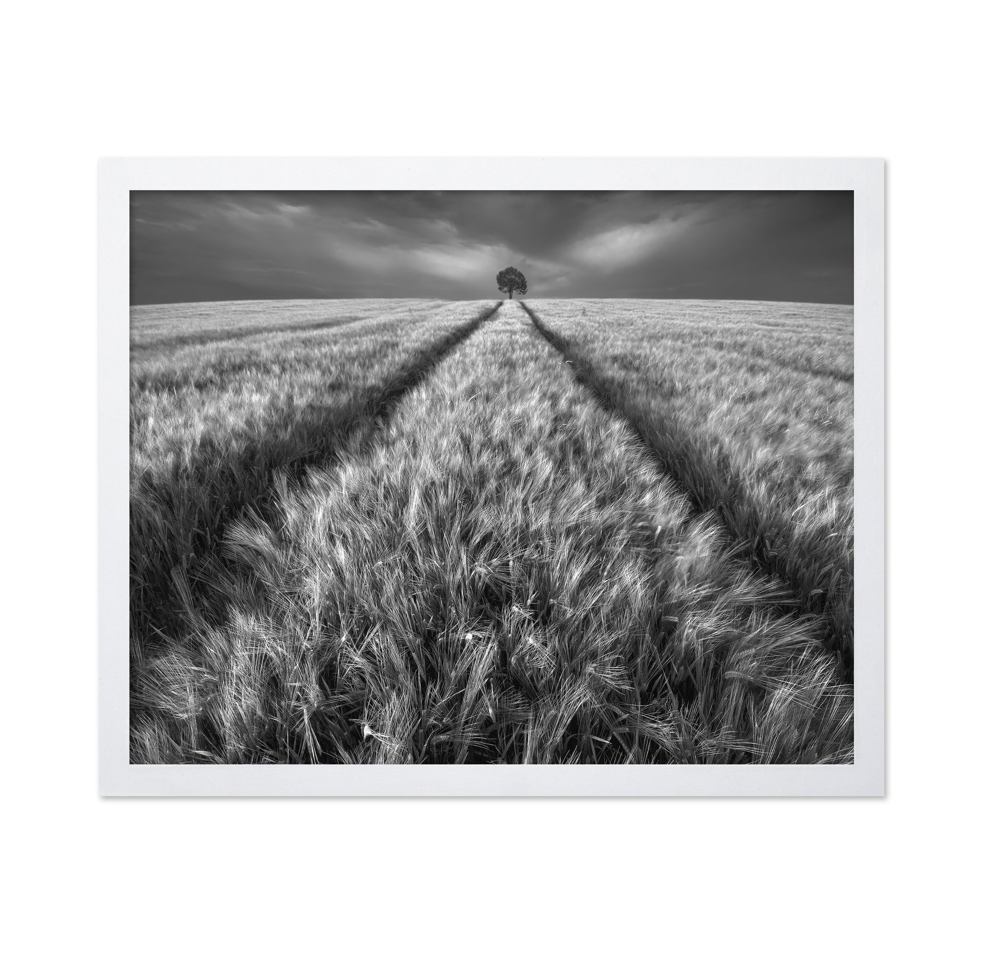 Lone Tree Field Path No1
