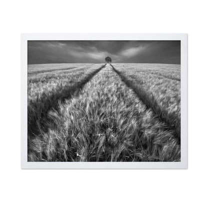 Lone Tree Field Path No1