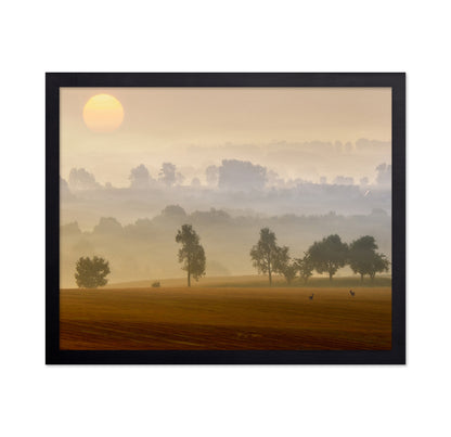 Golden Mist Morning