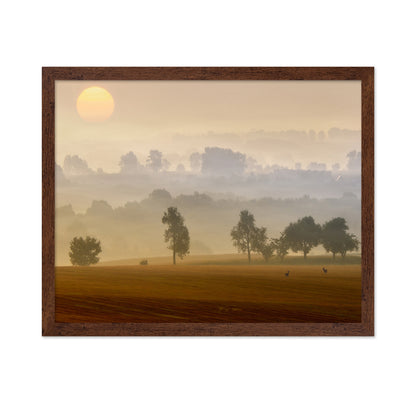 Golden Mist Morning