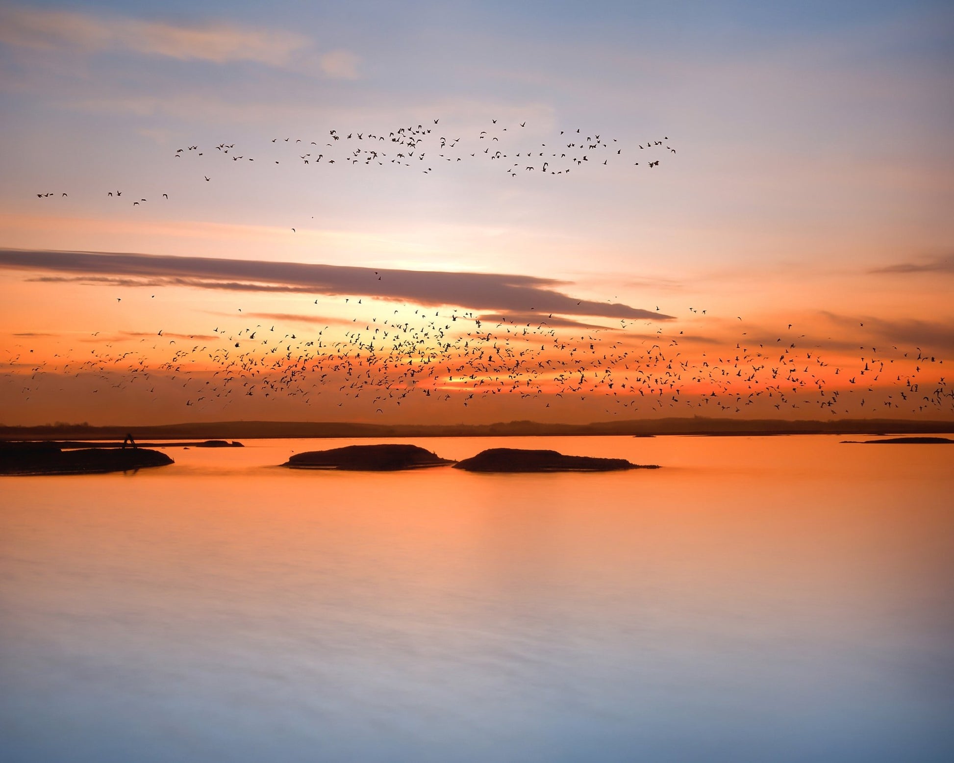 Sunset Birds Over Water