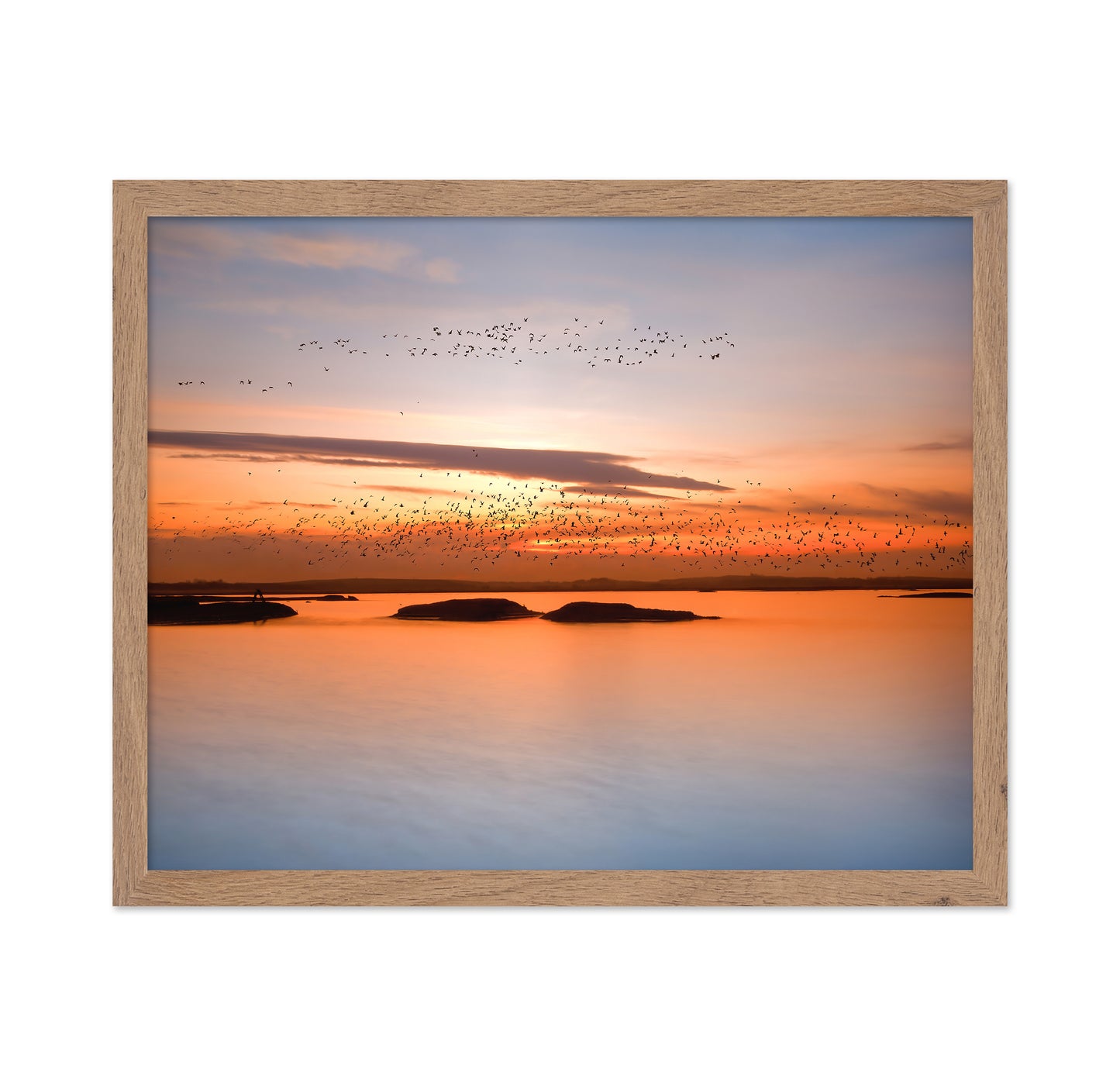 Sunset Birds Over Water