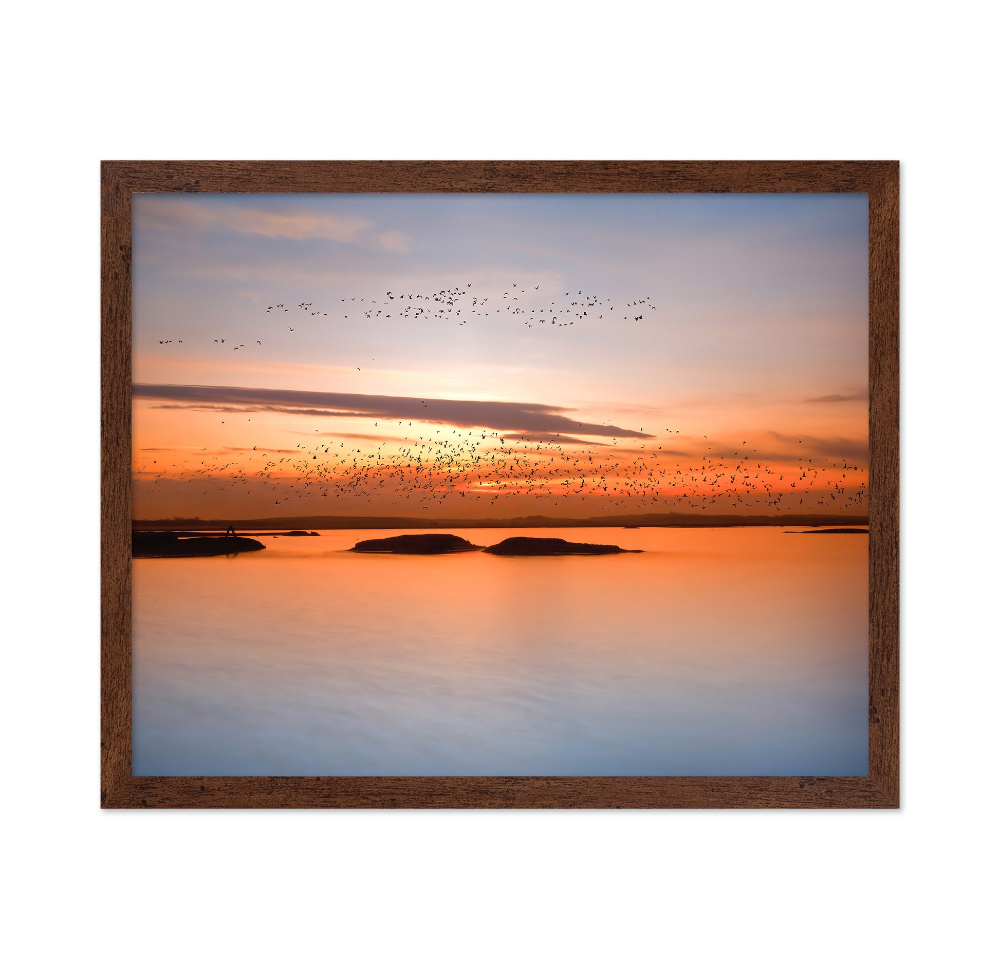 Sunset Birds Over Water