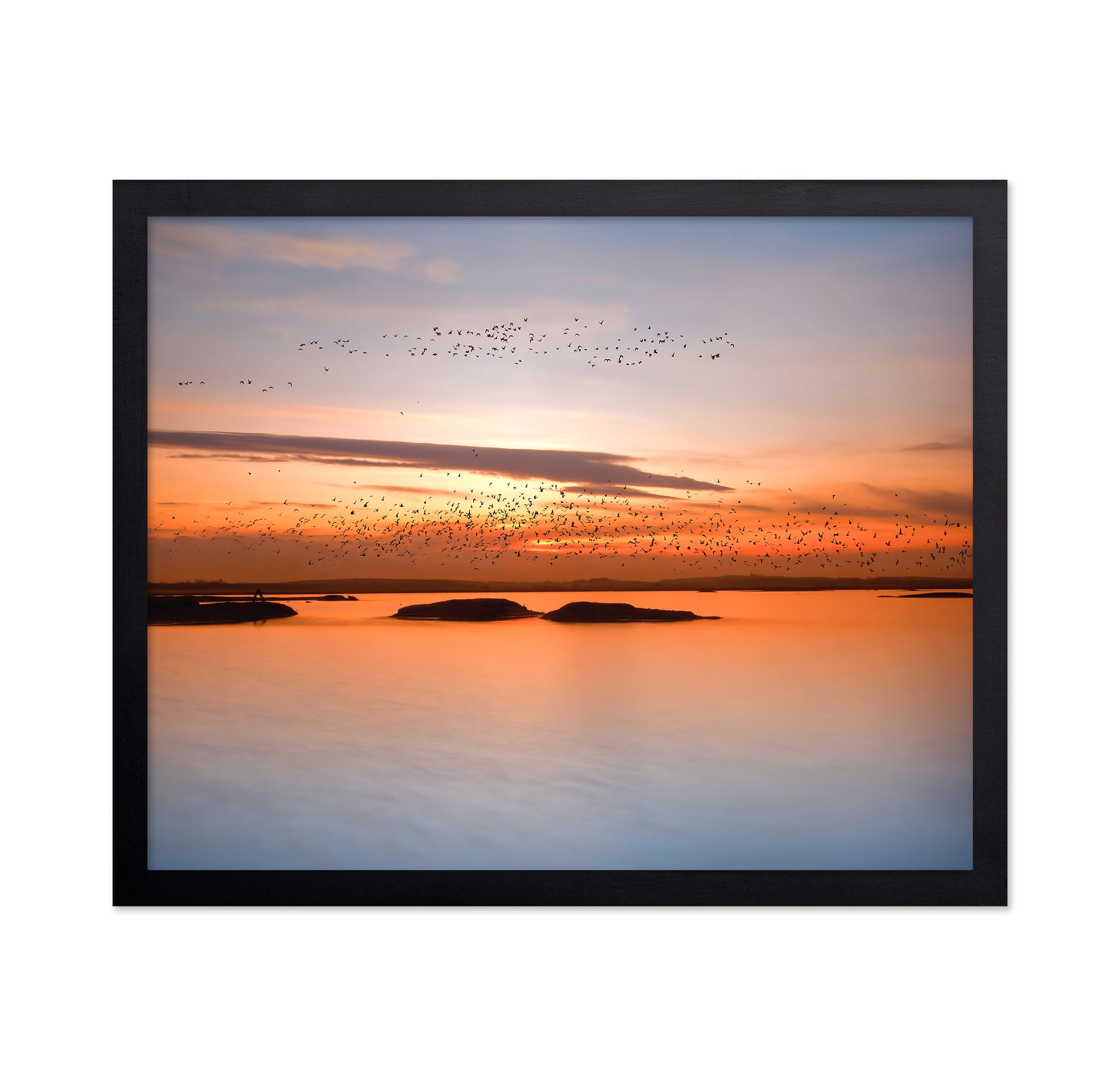 Sunset Birds Over Water