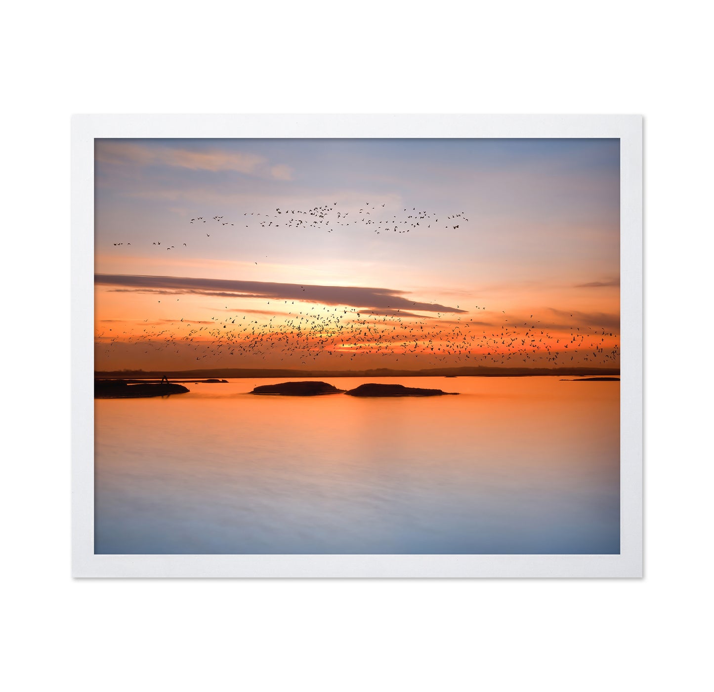 Sunset Birds Over Water