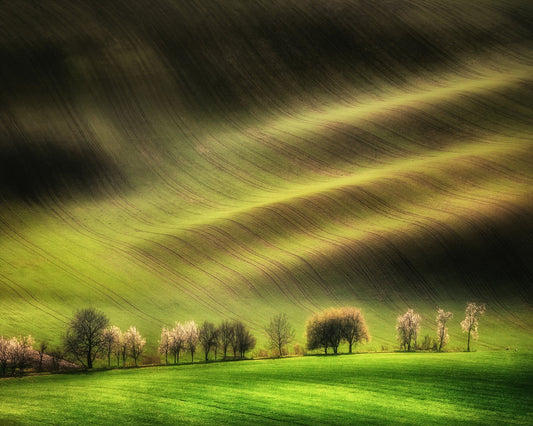 Rolling Spring Hills