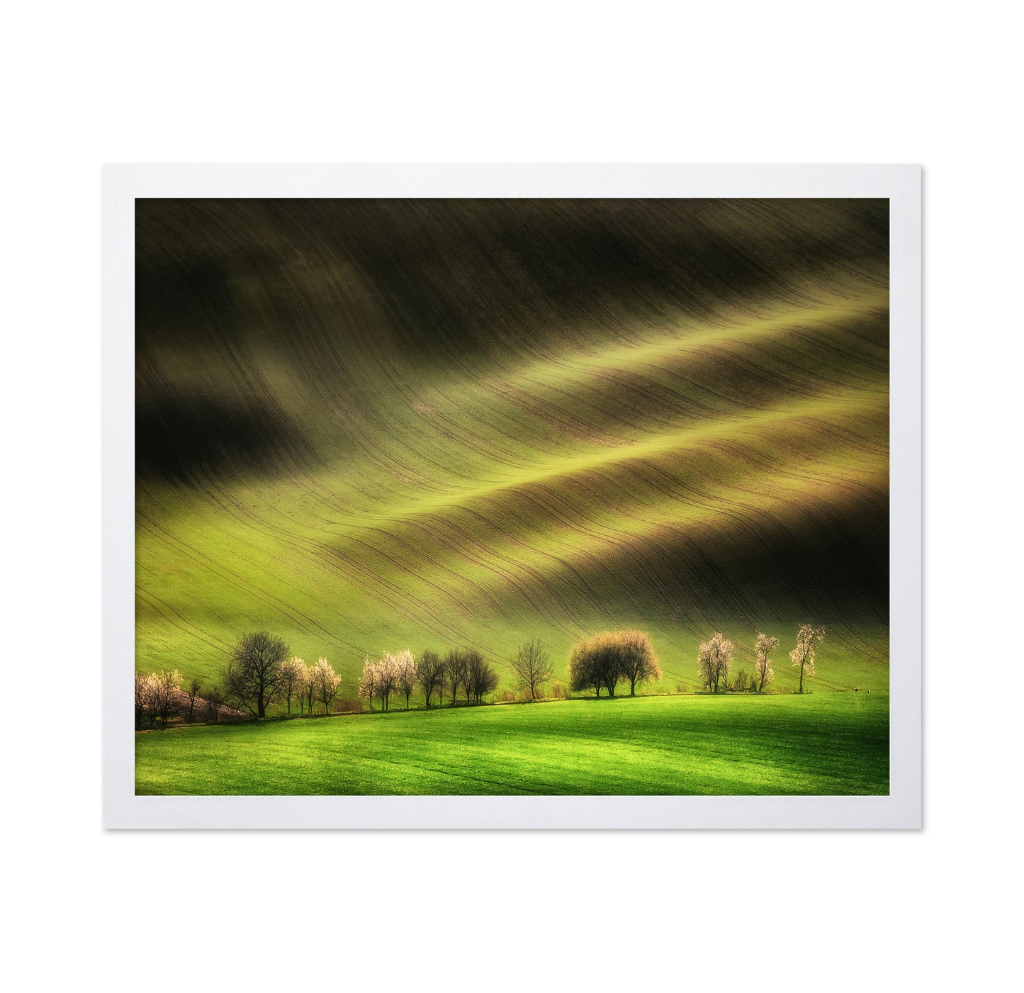Rolling Spring Hills