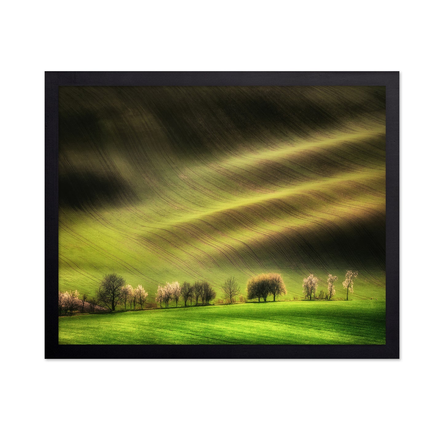 Rolling Spring Hills