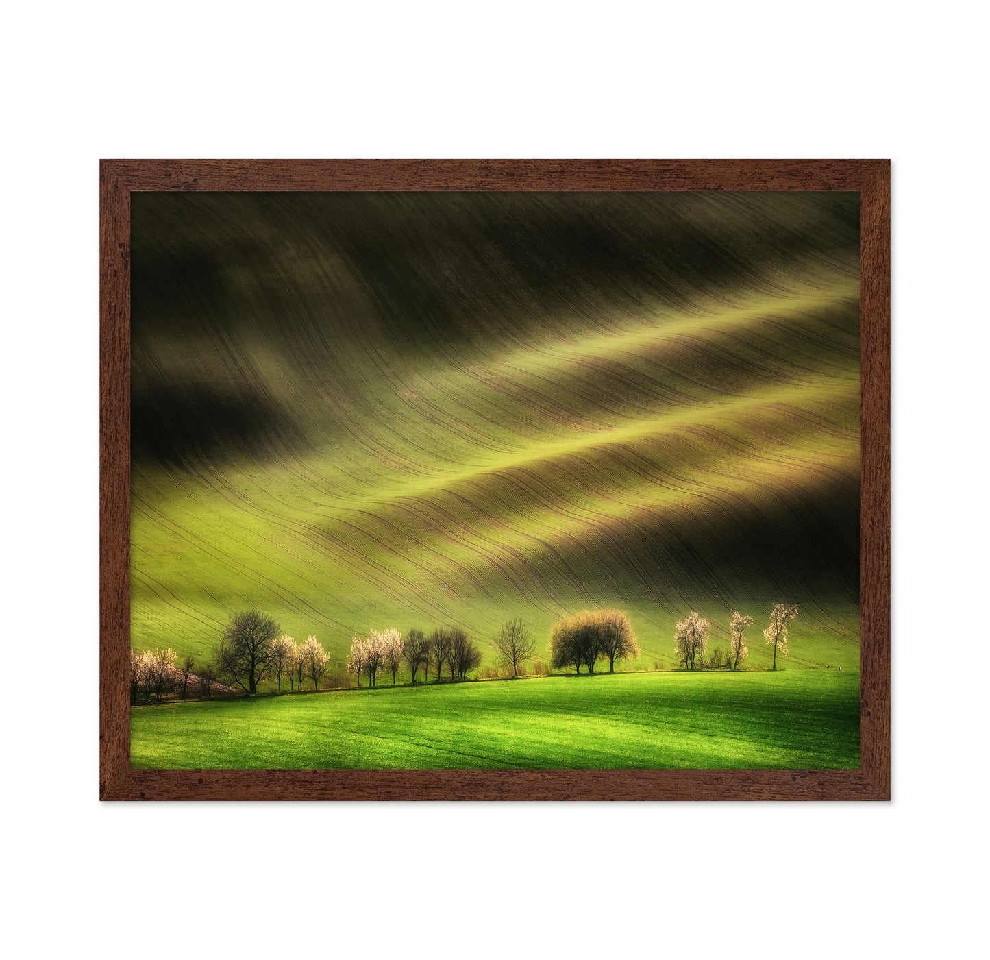 Rolling Spring Hills