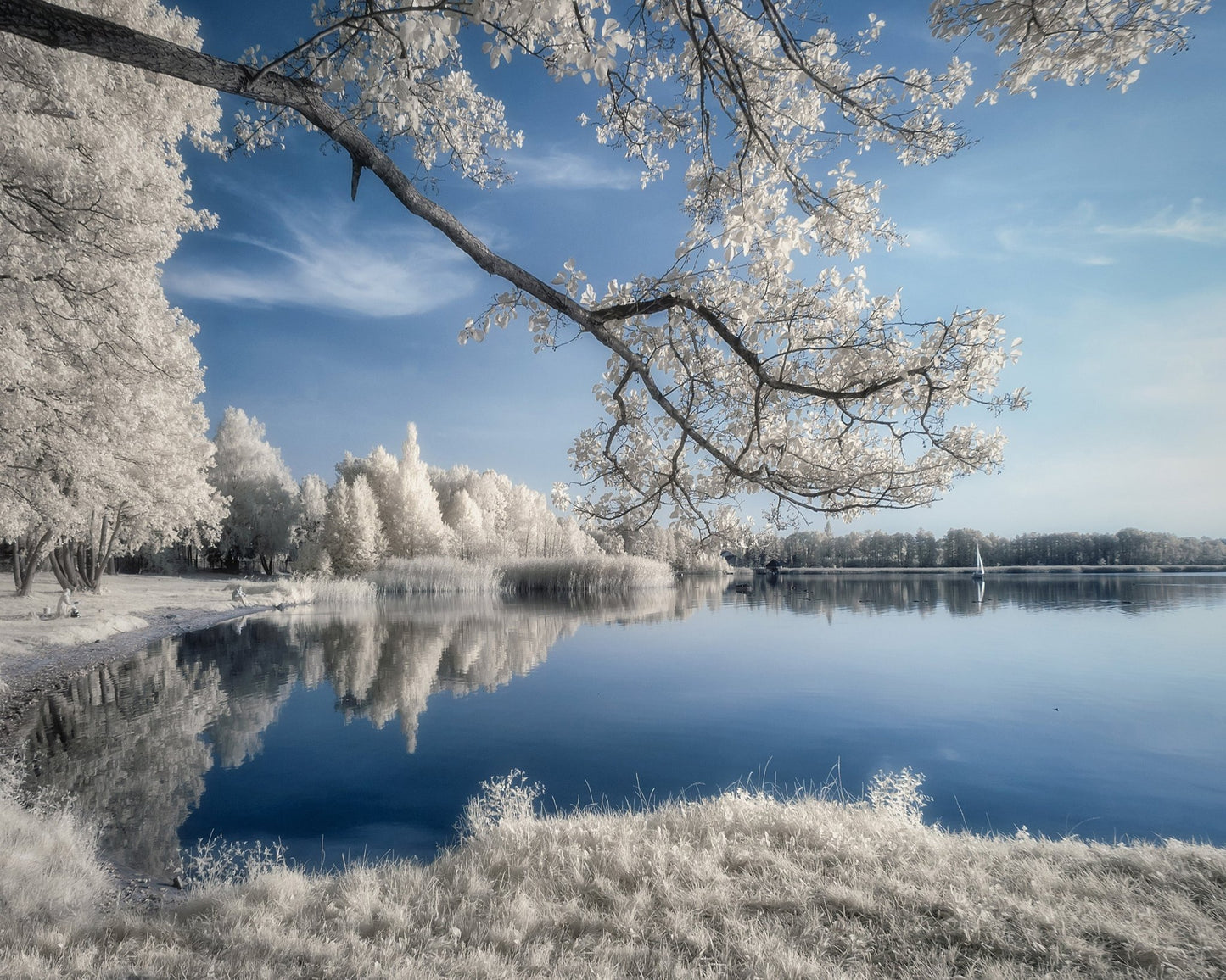 Silent Lake Reflections