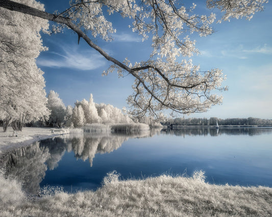 Silent Lake Reflections