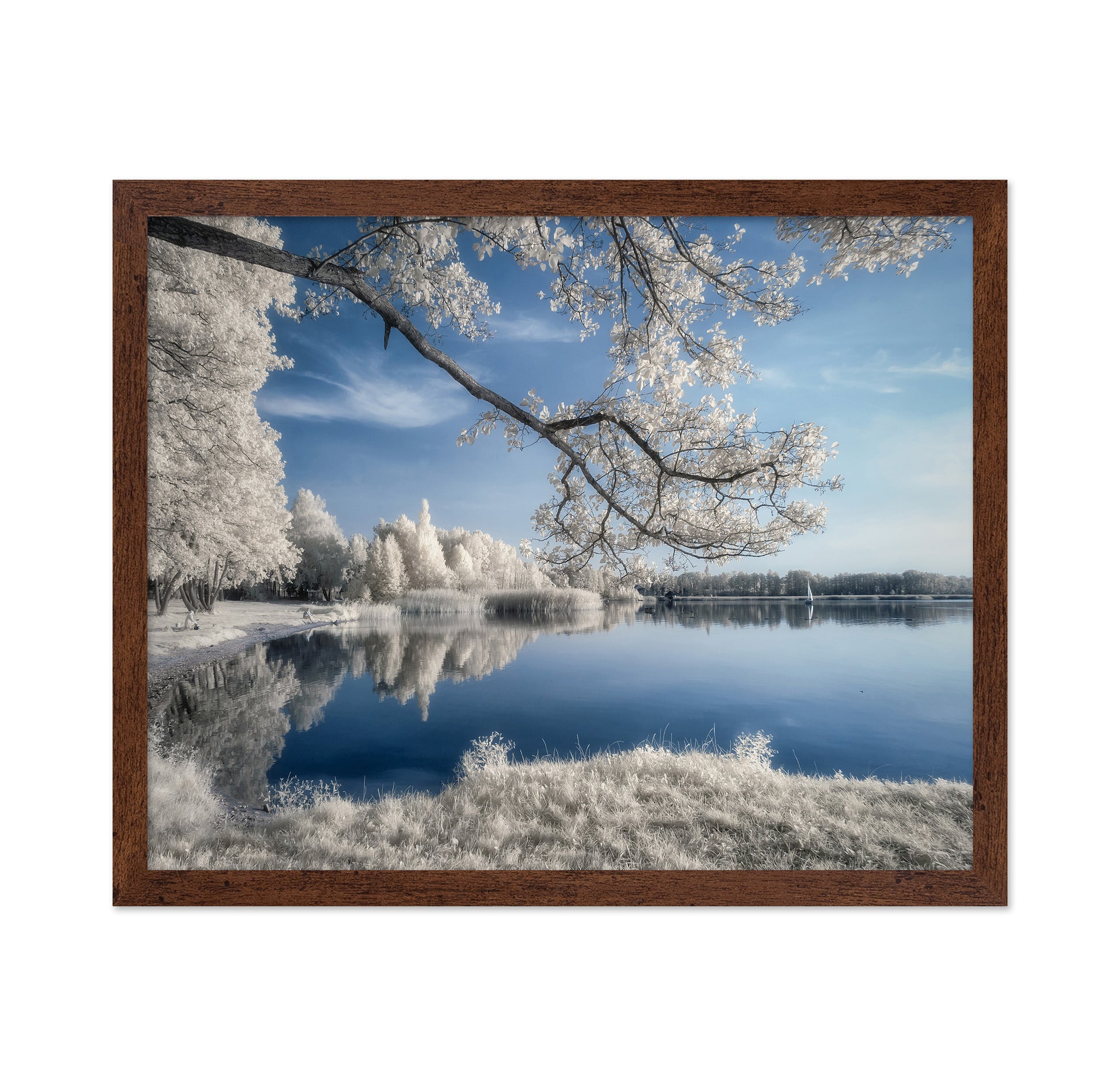Silent Lake Reflections