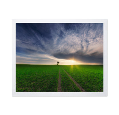 Lone Tree Sunset Path