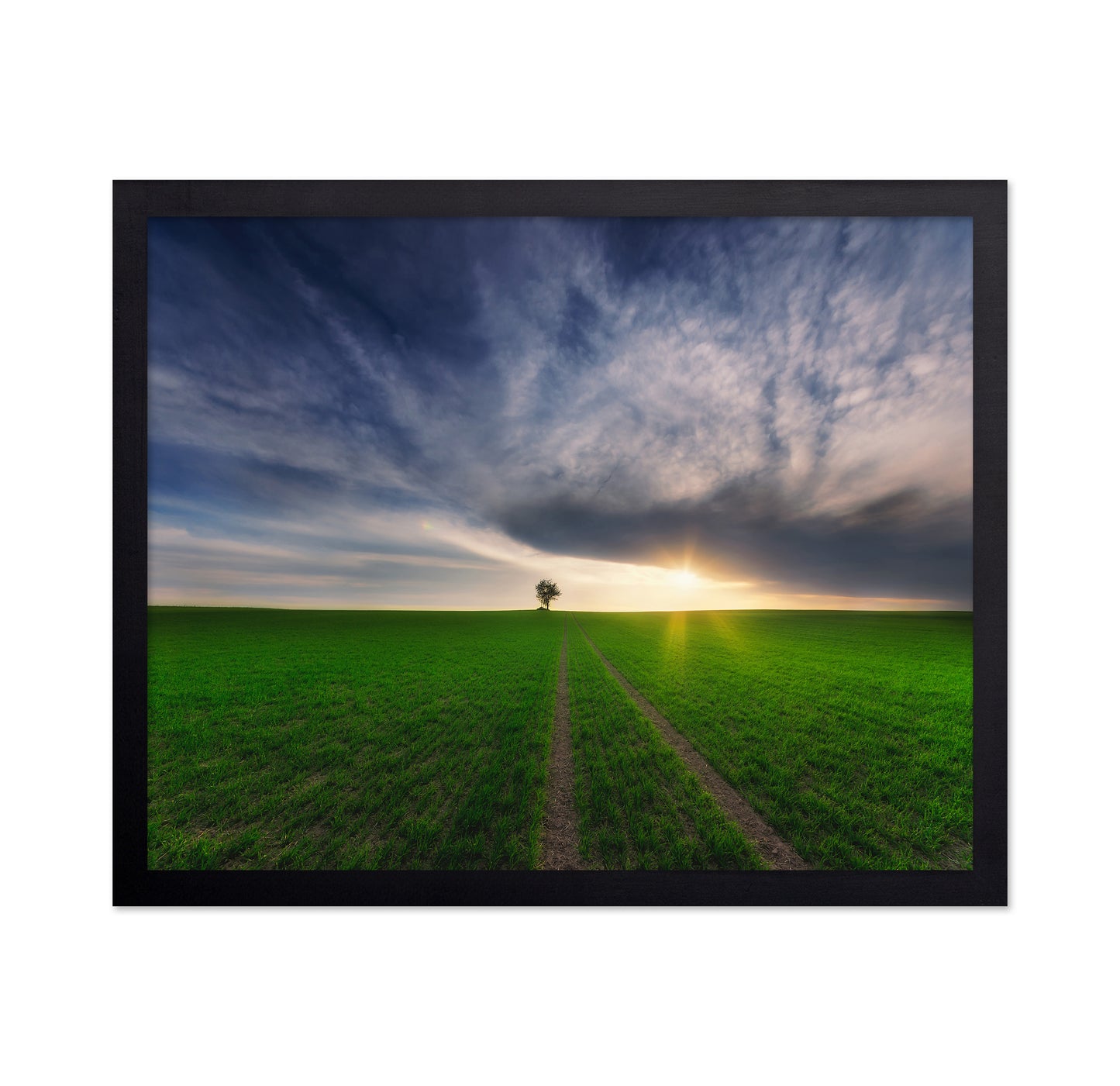 Lone Tree Sunset Path