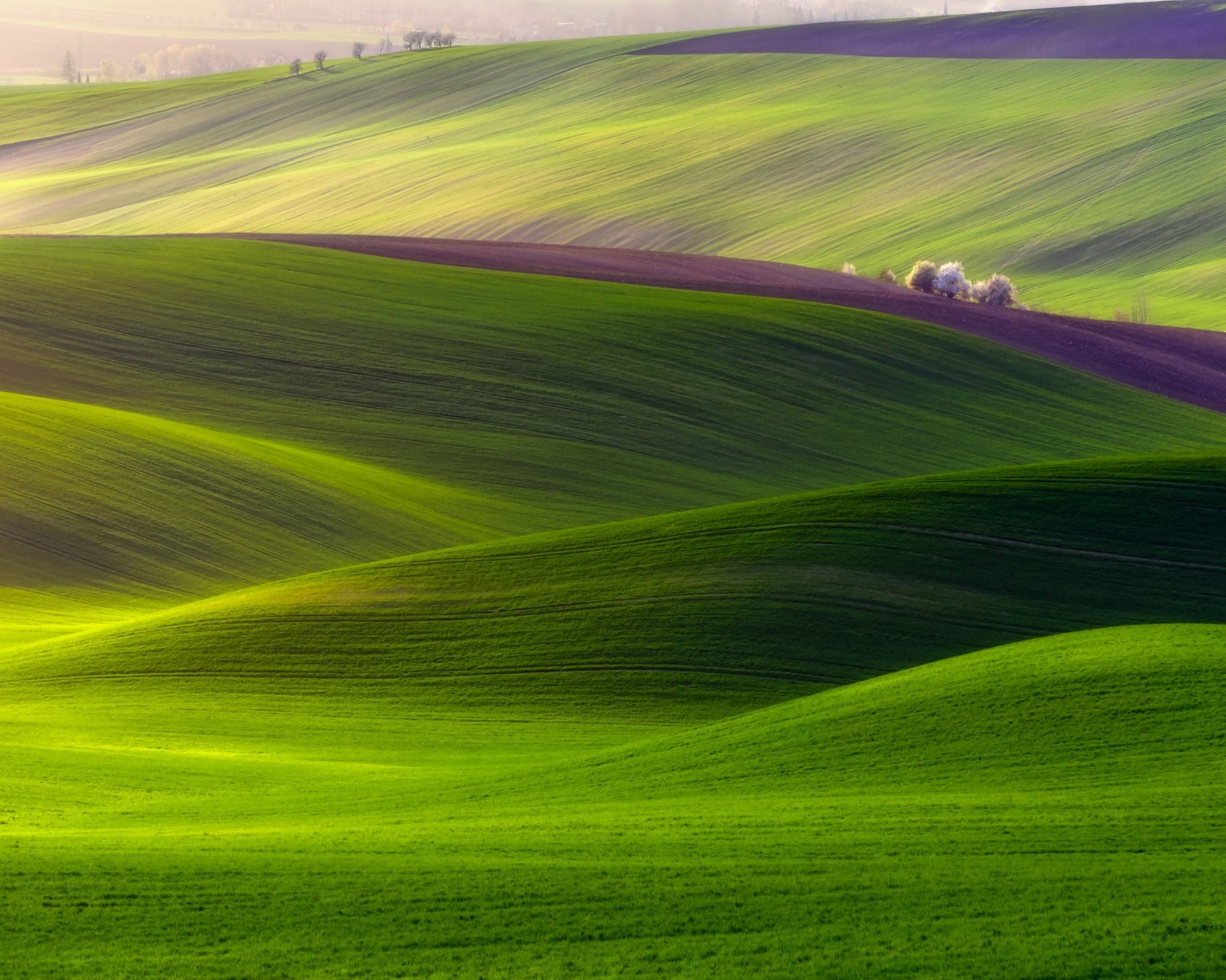 Emerald Rolling Hills
