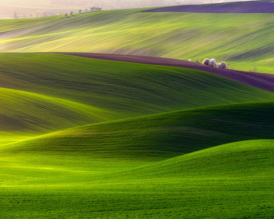 Emerald Rolling Hills
