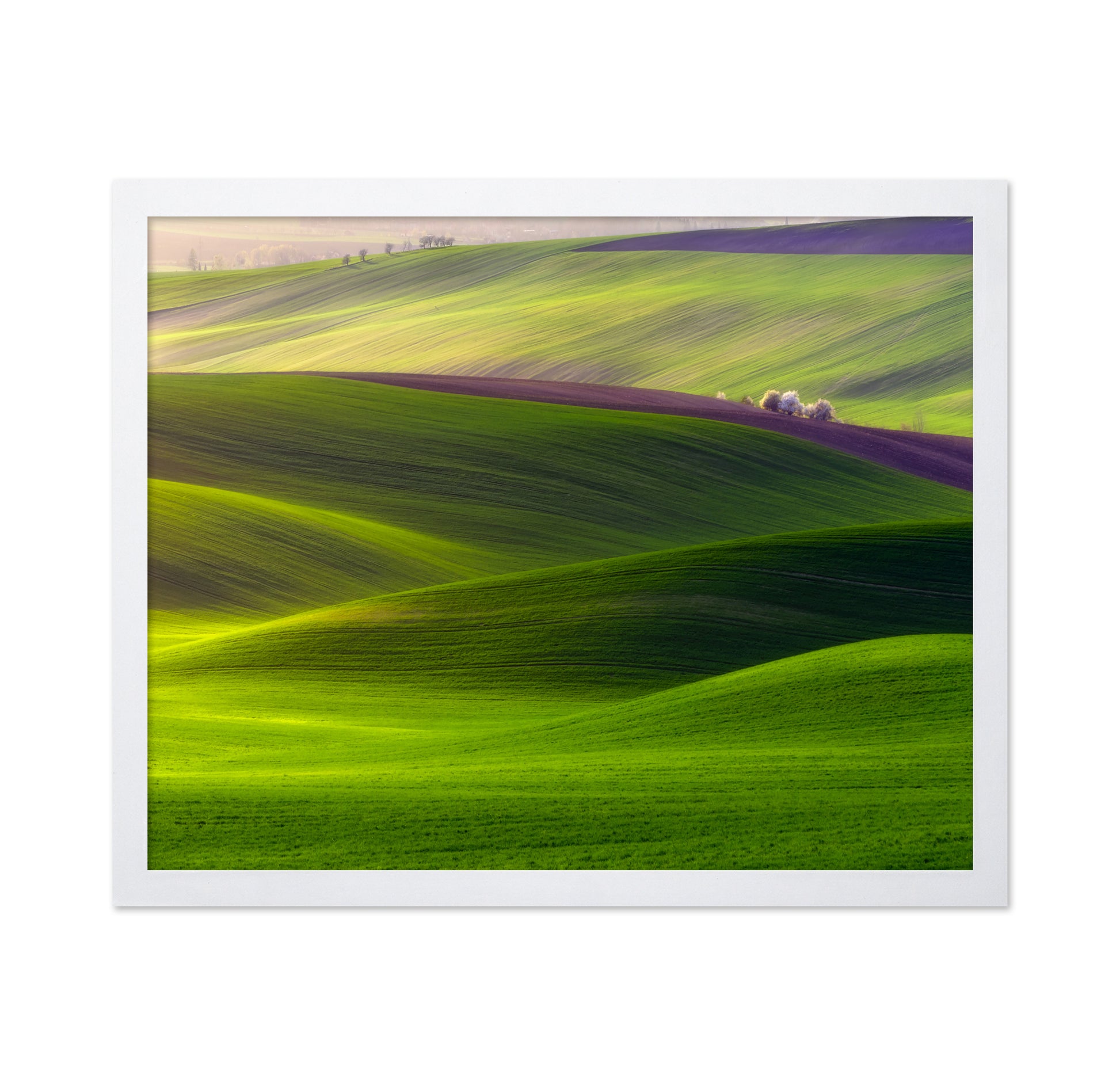 Emerald Rolling Hills
