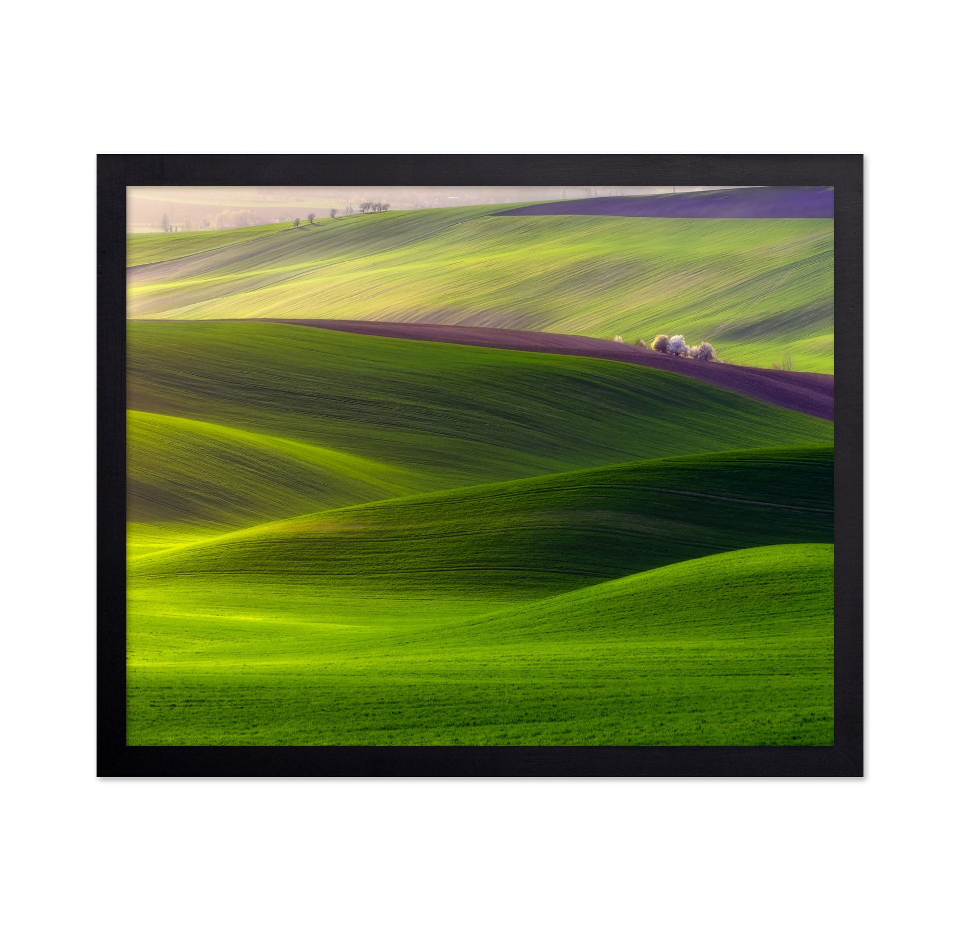 Emerald Rolling Hills