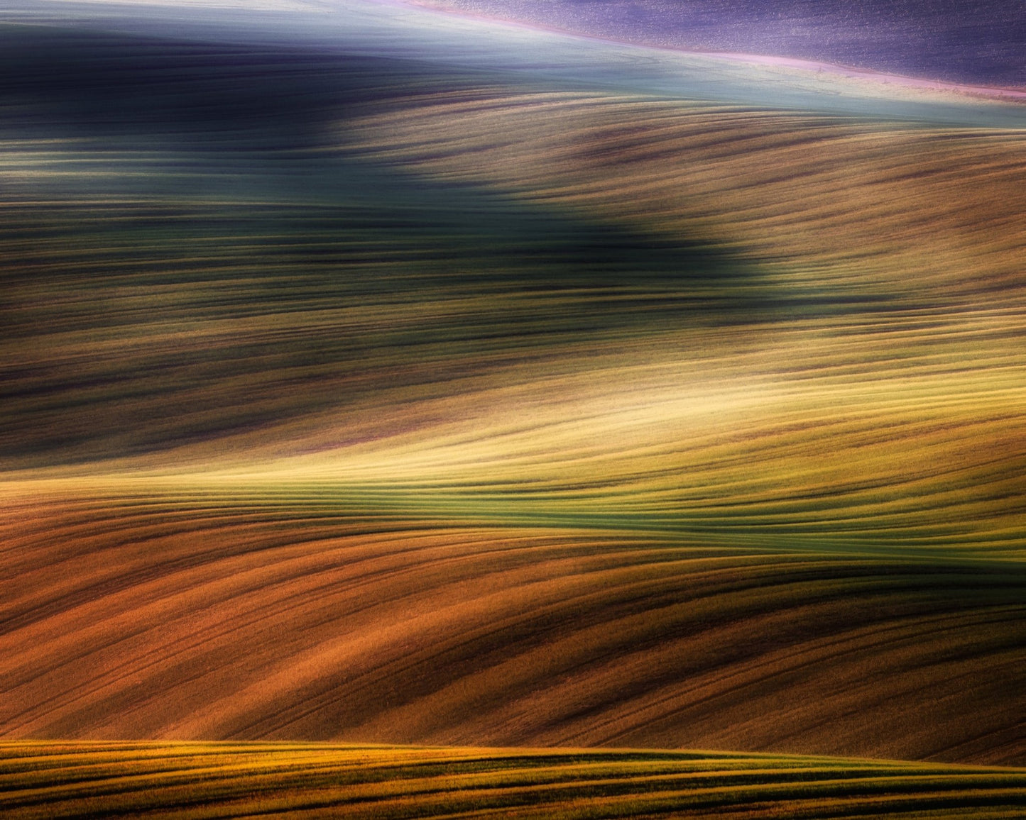 Autumn Color Waves