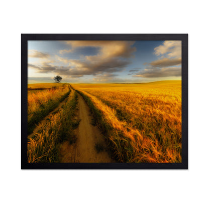 Golden Field Path No2